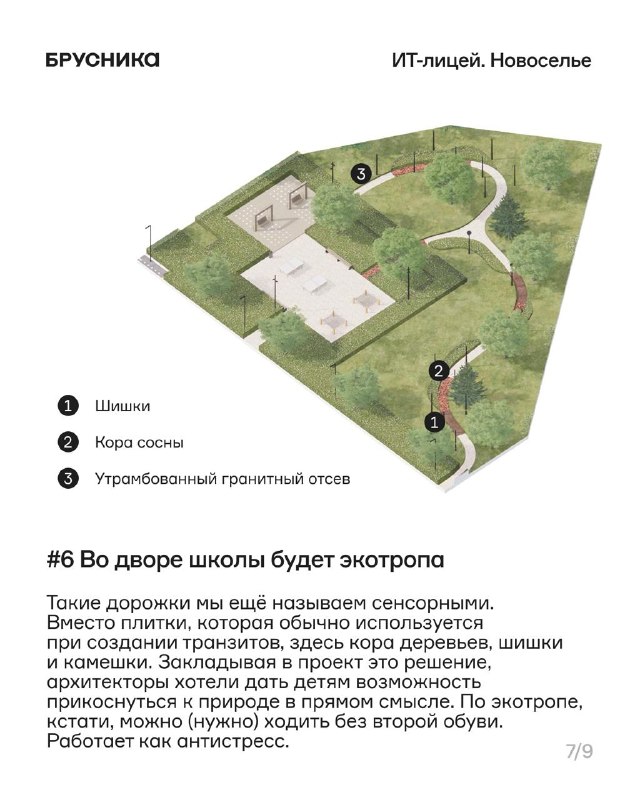 Новосельский лицей: ИТ-образование и современные пространства