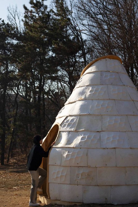 Био-гибридный павильон Mycelial Hut в Сеуле: архитектура из дерева и мицелия Био-гибридный павильон Mycelial Hut в Сеуле: архитектура из дерева и мицелия
