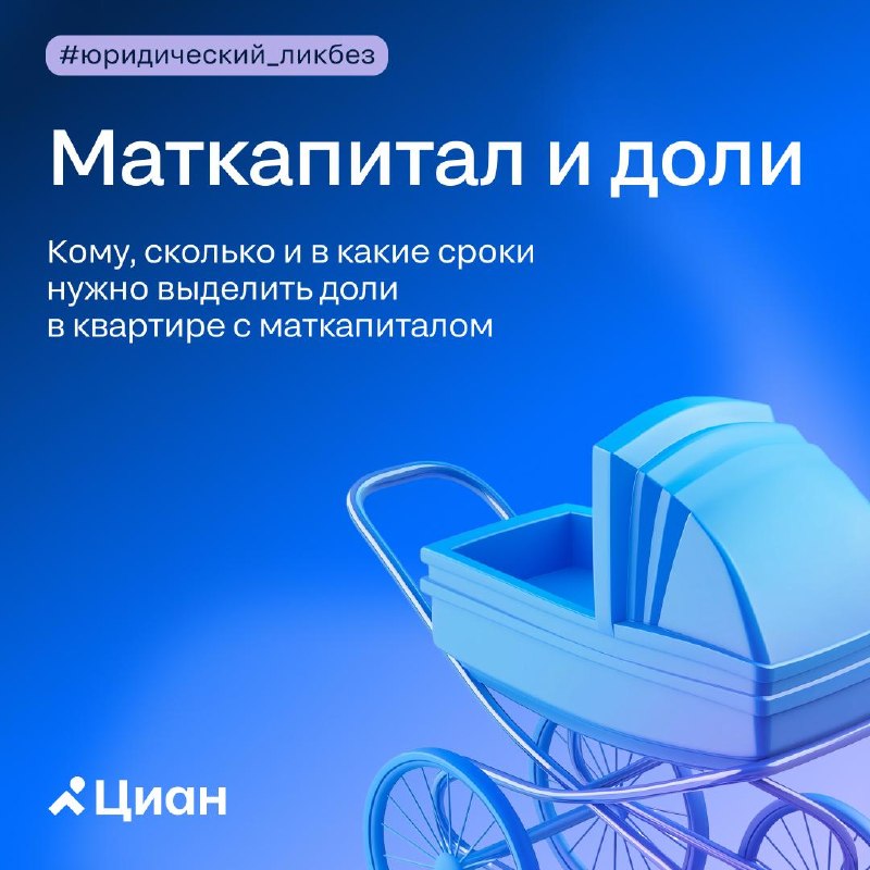 Маткапитал и доли: кому выделять, в каком размере и чем грозит просрочка