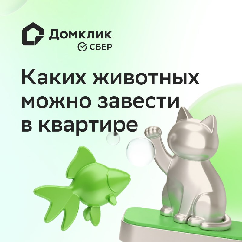 Каких животных можно завести в квартире: как выбрать питомца без ошибок