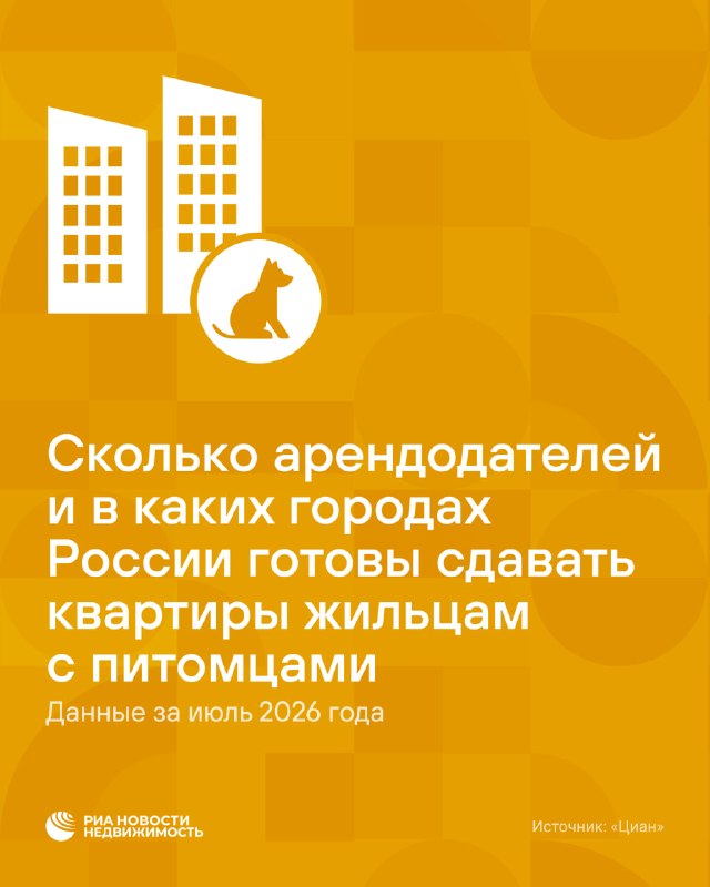 Где во Владивостоке, Казани и других городах чаще разрешают аренду с питомцами