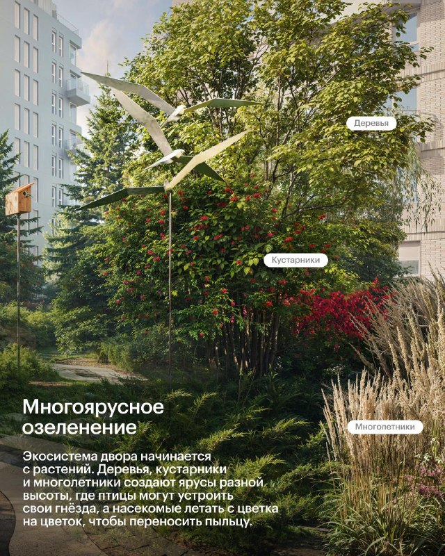 Как устроены зелёные дворы и живые экосистемы рядом с домом