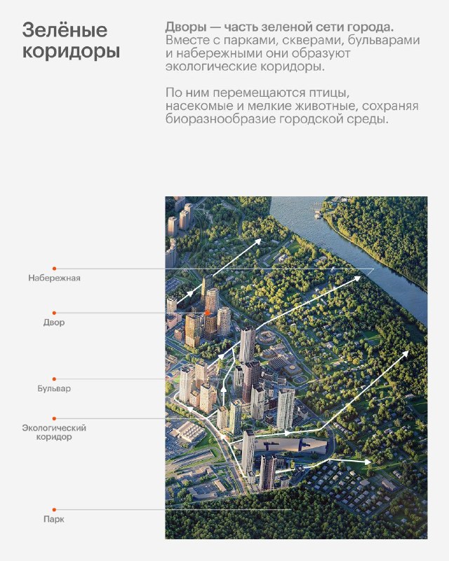 Как устроены зелёные дворы и живые экосистемы рядом с домом