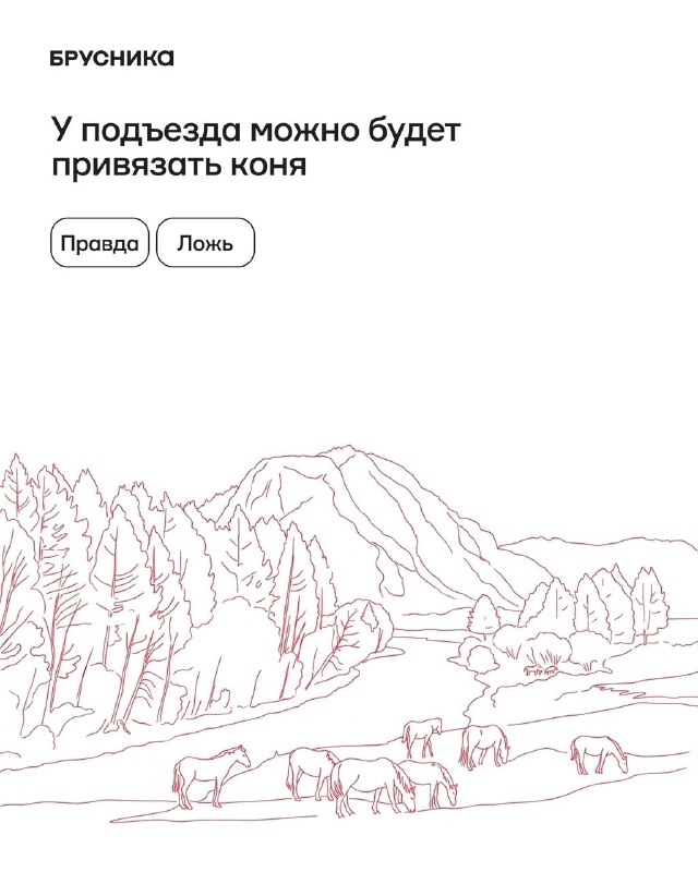 Запускаем «Амаду» в Алтае: что правда, а что миф