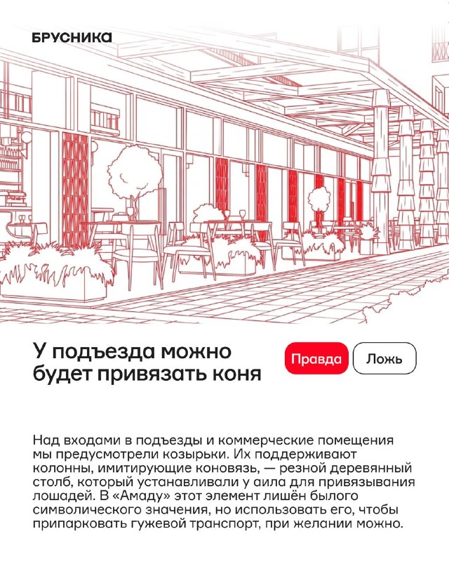 Запускаем «Амаду» в Алтае: что правда, а что миф
