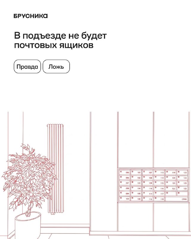 Запускаем «Амаду» в Алтае: что правда, а что миф