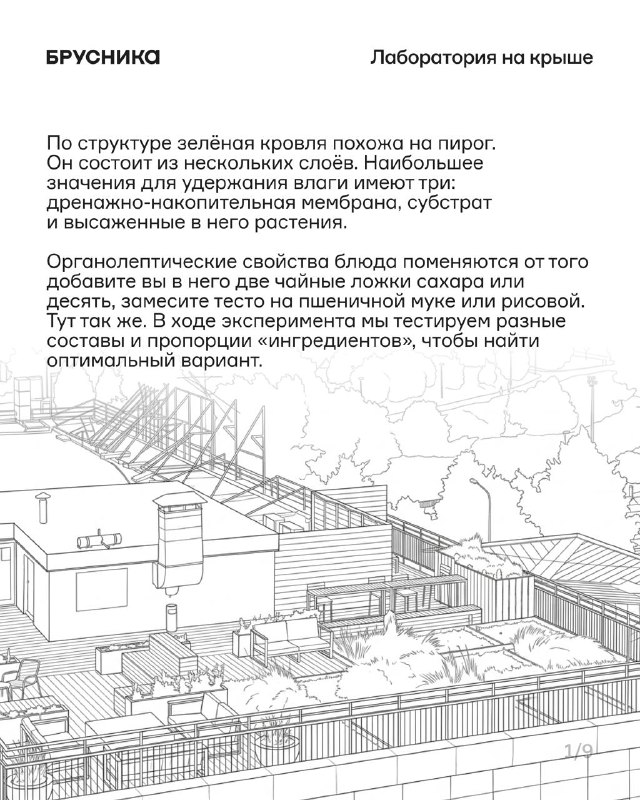 Зелёные кровли как решение для жары и дождей: опыт и первые цифры