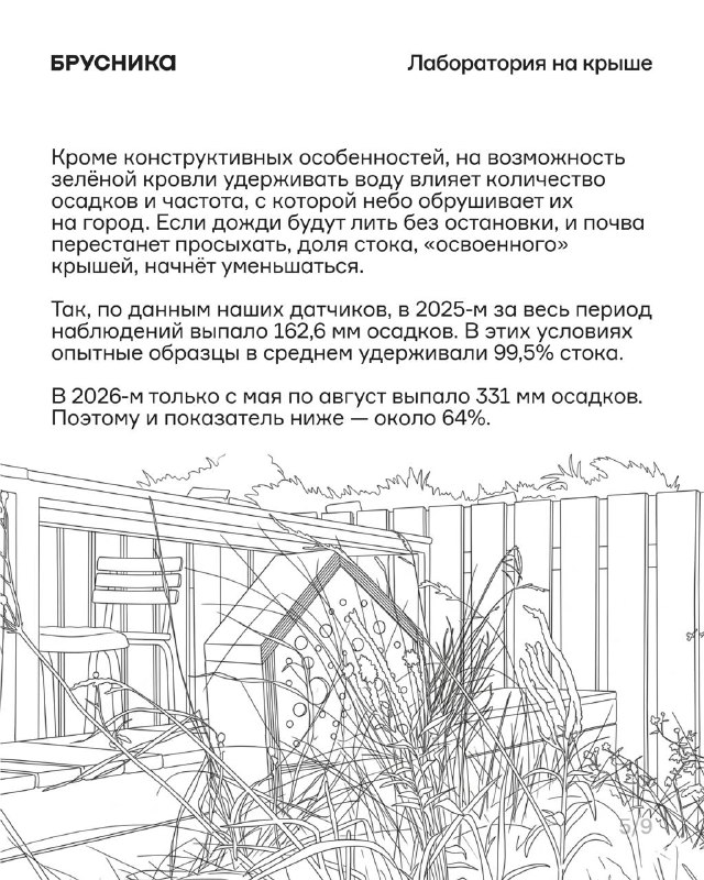 Зелёные кровли как решение для жары и дождей: опыт и первые цифры