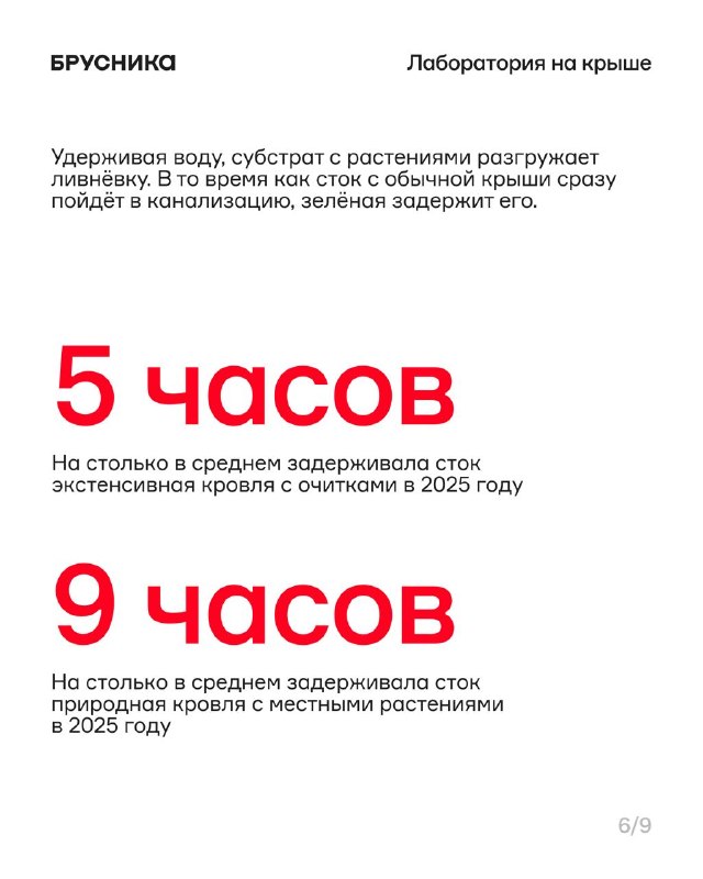 Зелёные кровли как решение для жары и дождей: опыт и первые цифры
