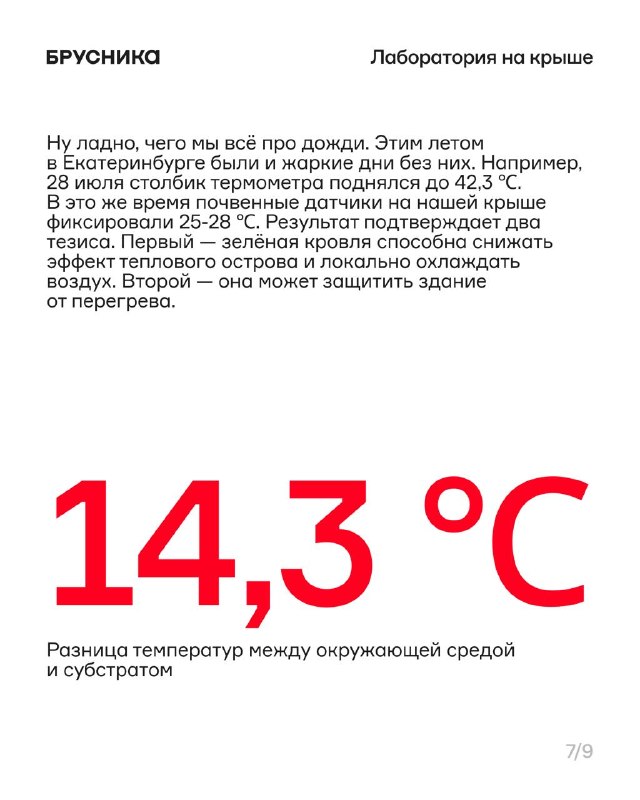 Зелёные кровли как решение для жары и дождей: опыт и первые цифры