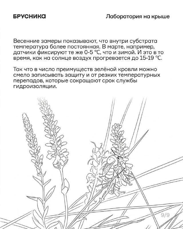 Зелёные кровли как решение для жары и дождей: опыт и первые цифры