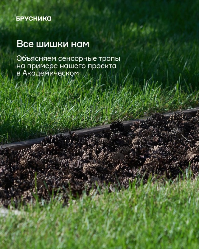 Сенсорная тропа: тактильные элементы для обучения и игры