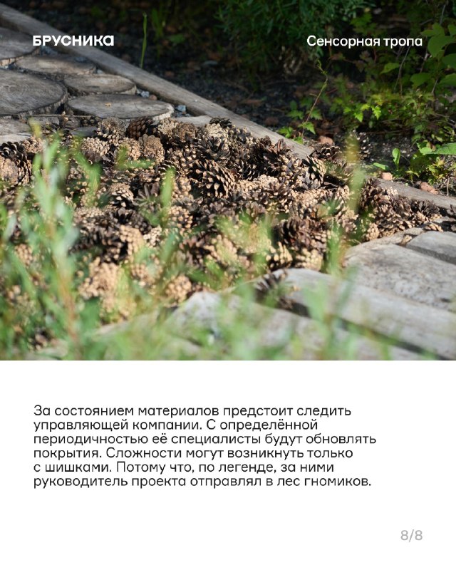 Сенсорная тропа: тактильные элементы для обучения и игры