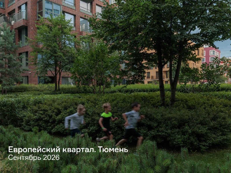 Разница в первые годы и спустя пару лет: как мы меняем дворы