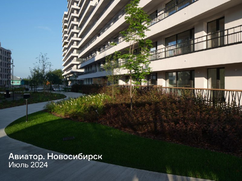 Разница в первые годы и спустя пару лет: как мы меняем дворы