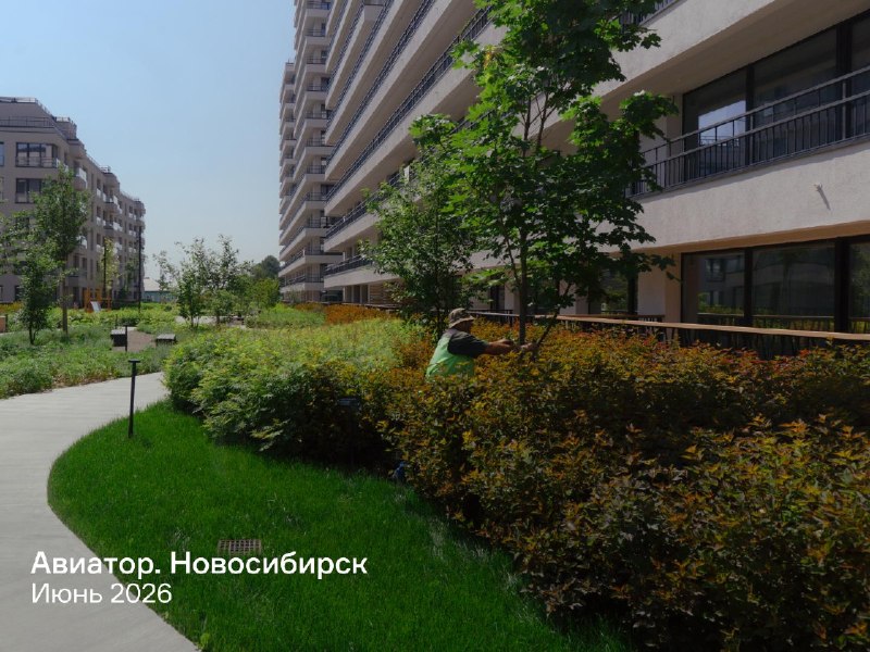 Разница в первые годы и спустя пару лет: как мы меняем дворы
