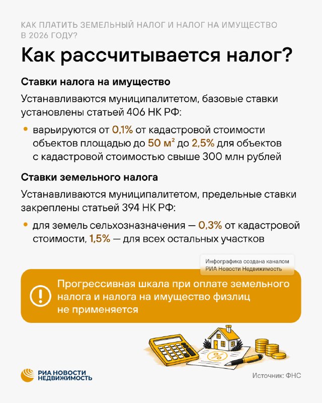 Сроки уплаты налога за 2025 год в 2026: как рассчитывают и кому положены льготы