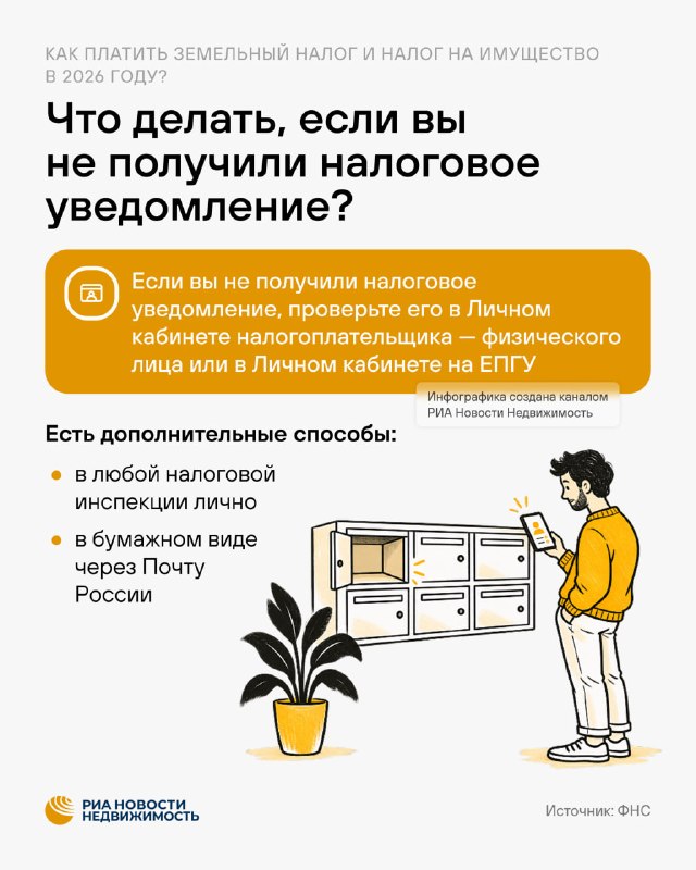 Сроки уплаты налога за 2025 год в 2026: как рассчитывают и кому положены льготы