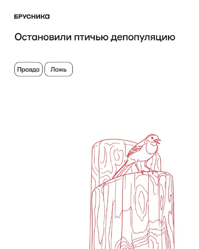 Красота и реальность: проверьте факты в четырёх утверждениях
