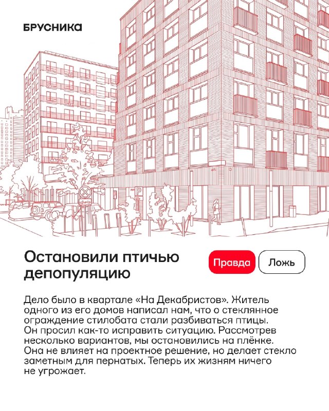 Красота и реальность: проверьте факты в четырёх утверждениях