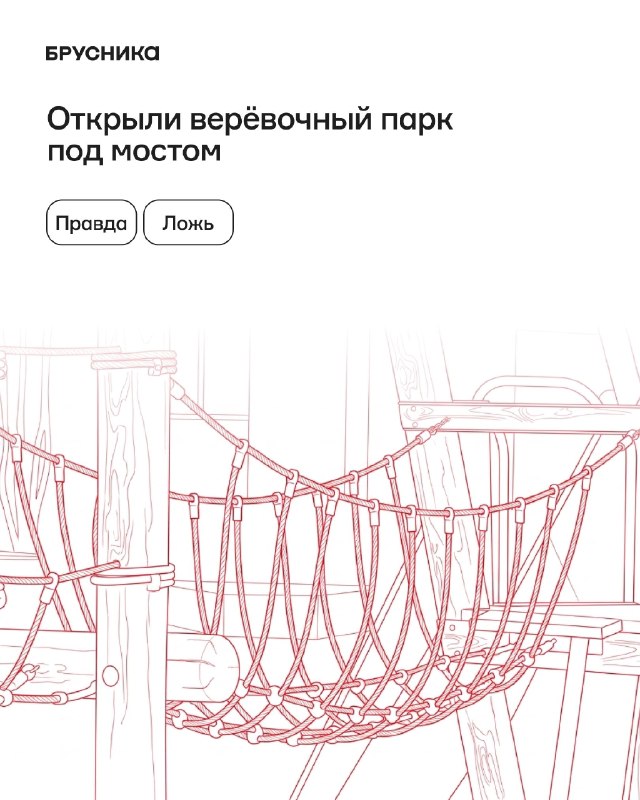 Красота и реальность: проверьте факты в четырёх утверждениях