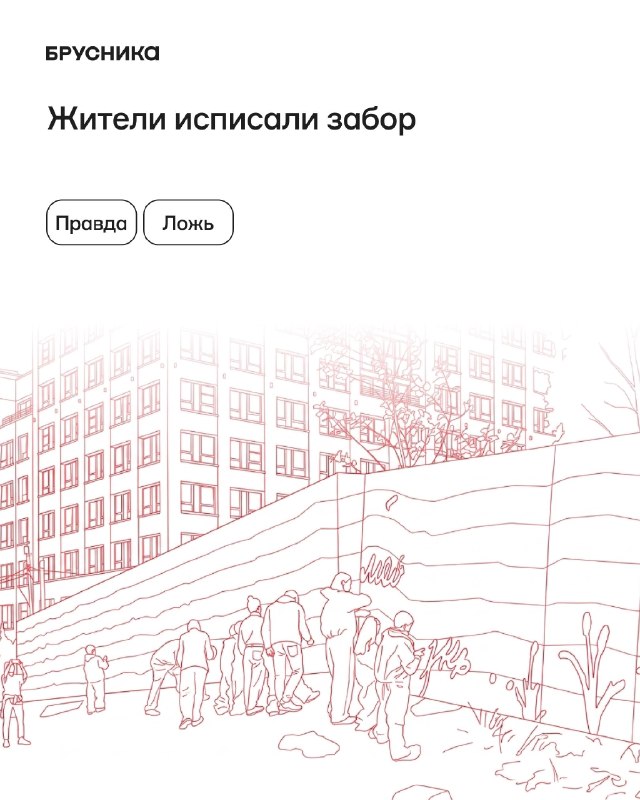 Красота и реальность: проверьте факты в четырёх утверждениях