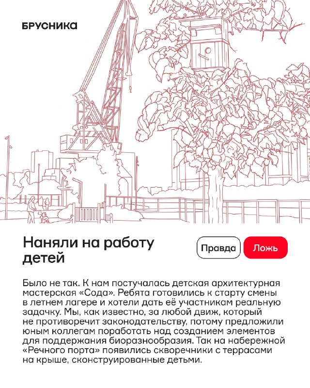 Красота и реальность: проверьте факты в четырёх утверждениях