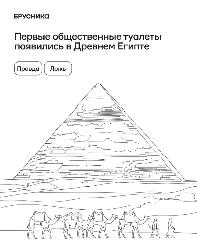 Пять фактов об истории общественных туалетов