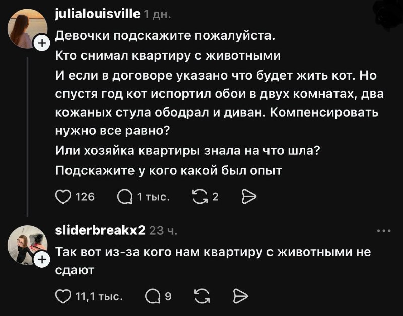 Запрет на животных в аренде: что говорят исследования и дискуссии