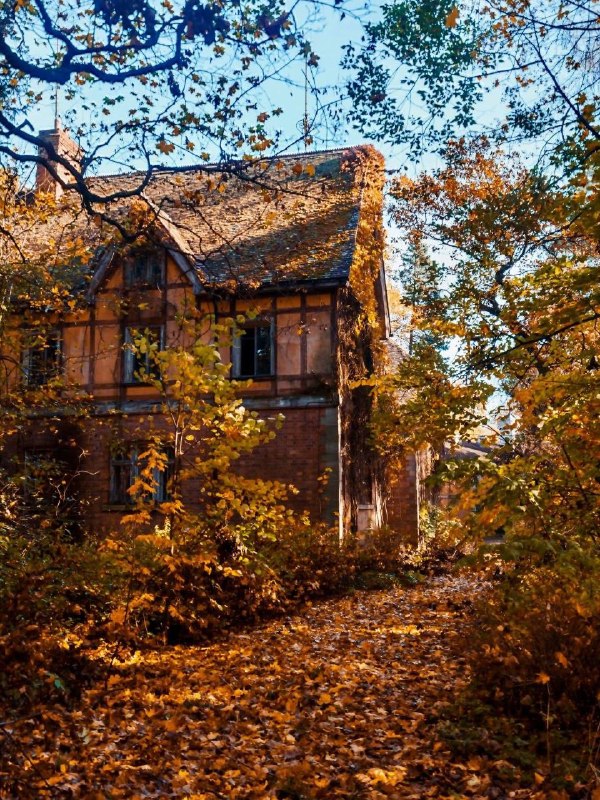 Дача великого князя Бориса Владимировича в Пушкине: модерн и судьба усадьбы